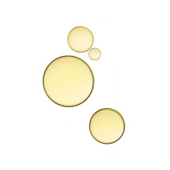 Payot Herbier Huile de Beaute Bio  Herbier Huile de Beaute Bio