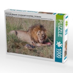 CALVENDO Puzzle CALVENDO Puzzle Emotionale Momente: Lowenkampf Lowenliebe \/ CH-Version Пазл CALVENDO Puzzle Эмоциональные моменты: бой льва лев любовь / версия CH