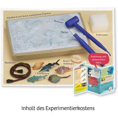 Kosmos Mitbringexperiment Meeres-Abenteuer Возьмите с собой эксперименты с морскими приключениями