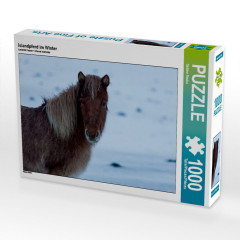 CALVENDO Puzzle CALVENDO Puzzle Islandpferd im Winter Пазл CALVENDO Пазл Исландская лошадь зимой