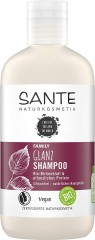 Sante Glanz Shampoo Bio-Birkenblatt &amp; pflanzliches Protein, Санте Натуральный шампунь для блеска волос с органическими листьями березы, 250 мл
