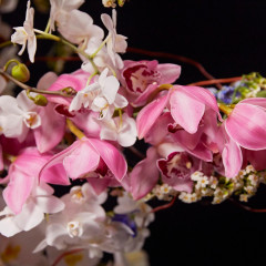 Shiseido Ginza Shower Cream крем для душа